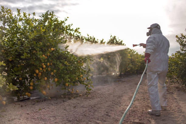 Professional Pest Control in Plainview, TN