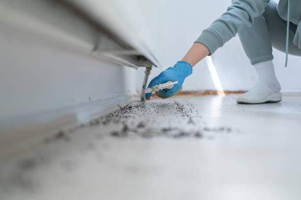Insect Control in Plainview, TN